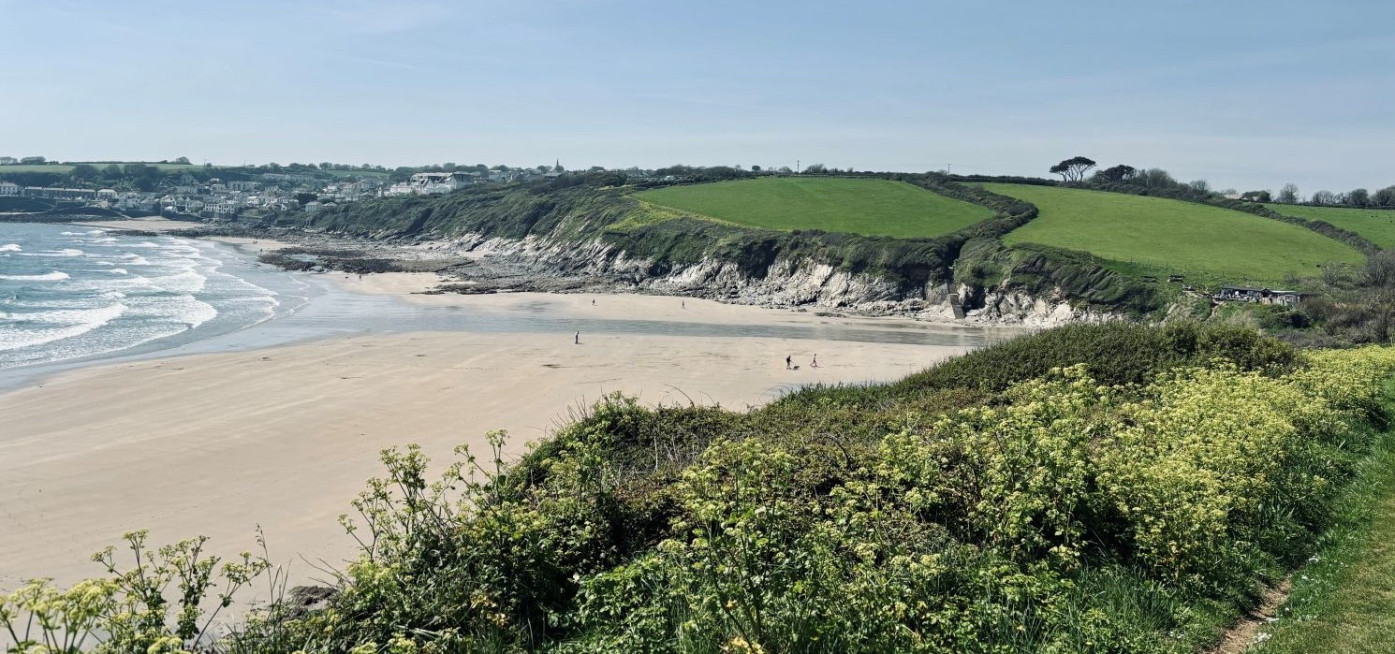 Coastal Path near Portscatho